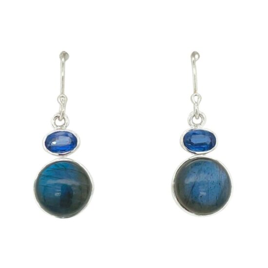 Labradorite Kyanite Lovers Earrings wholesale-only family business