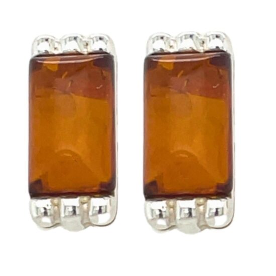 Amber Sweet Treat Stud Earrings exclusive and rare gemstones