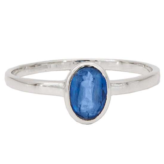 Kyanite Keeper Ring best jewelry suppliers bulk jewelry